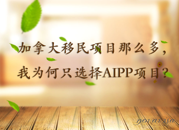 ô(xing)Ŀô࣬ҞֻxAIPP(xing)Ŀ